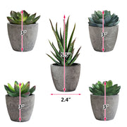 5Pcs artificial succulent cactus plants, faux succulent cactus plants with gray pots for home decor