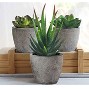 5Pcs artificial succulent cactus plants, faux succulent cactus plants with gray pots for home decor