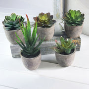 5Pcs artificial succulent cactus plants, faux succulent cactus plants with gray pots for home decor