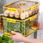 Food container Box