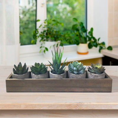 5Pcs artificial succulent cactus plants, faux succulent cactus plants with gray pots for home decor