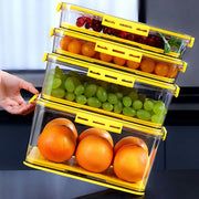 Food container Box