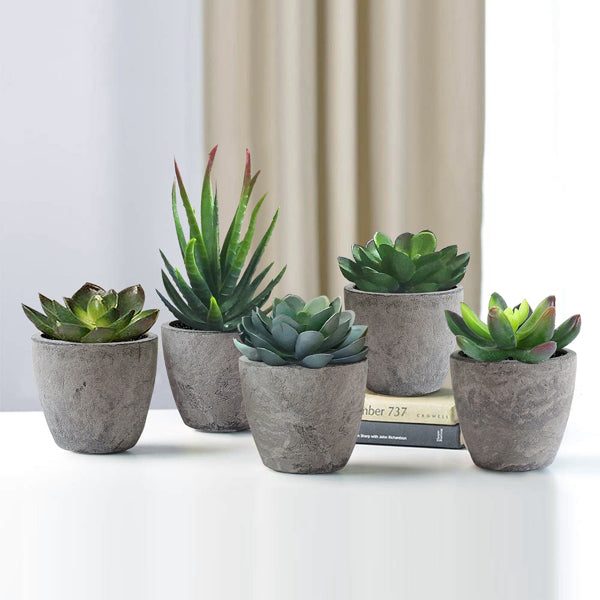 5Pcs artificial succulent cactus plants, faux succulent cactus plants with gray pots for home decor